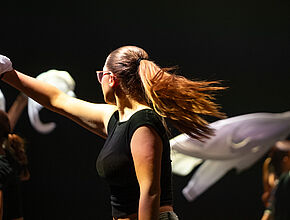 Agrandir l'image (fenêtre modale)