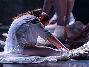 Agrandir l'image (fenêtre modale)