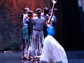 Agrandir l'image (fenêtre modale)