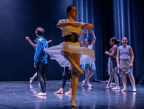 Agrandir l'image (fenêtre modale)