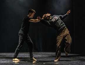 Agrandir l'image (fenêtre modale)