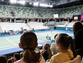 Agrandir l'image (fenêtre modale)