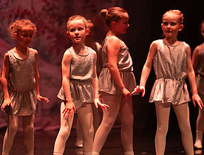 Agrandir l'image (fenêtre modale)