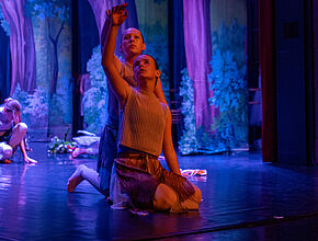 Agrandir l'image (fenêtre modale)